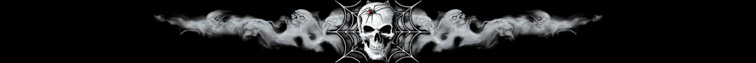 Spider Skull Windshield Visor Decal
