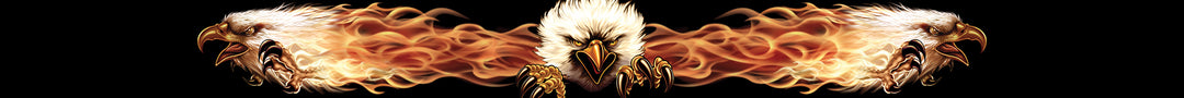 Fire Eagle Windshield Visor Decal