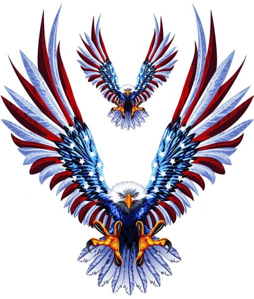 USA Flag Feathers Eagle Attack Decal