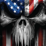 USA Skull Banner