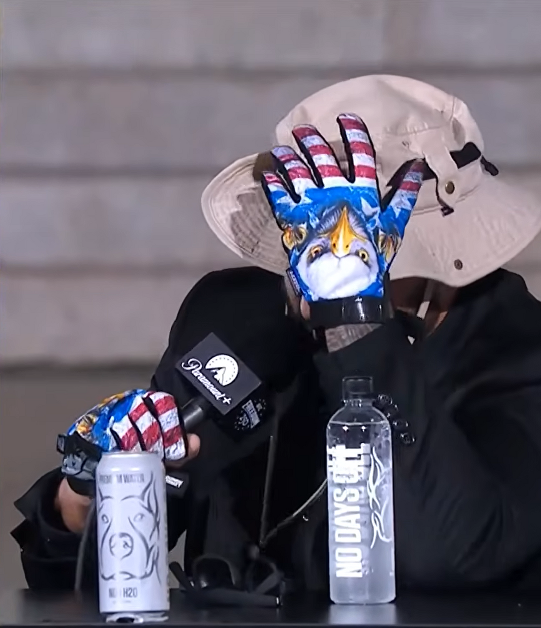 Rip n Tear USA Eagle Hand Gloves