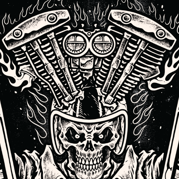 Down n Out Shove It Banner