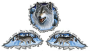 Wolf Decal Kit