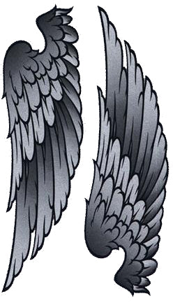 Glitter Wings Decal