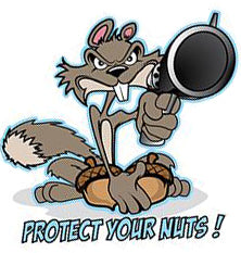 Protect Your Nuts Squirrel Gun Sticker